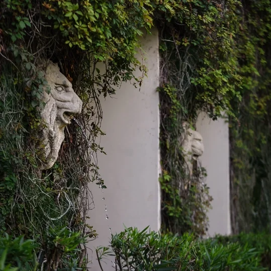 Fotos de instalaciones de campus Cancún